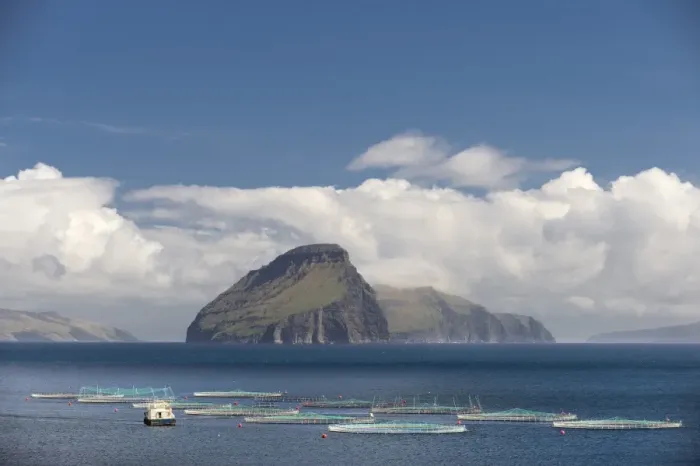Framed Print : Fish farm, clouds and sea, in front of the smallest inhabited island of the Faroe Islands, Koltur, Utoyggjar, Faroe Islands, Denmark Framed Print : Fish farm, clouds and sea, in front of the smallest inhabited island of the Faroe Islands, Koltur, Utoyggjar, Faroe Islands, Denmark