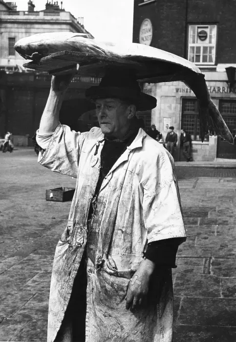 Framed Print : Fish Head. 26th May 1951: A trader at Billingsgate Market Framed Print : Fish Head. 26th May 1951: A trader at Billingsgate Market