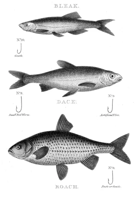 Framed Print : Fish hooks engraving 1812 Framed Print : Fish hooks engraving 1812