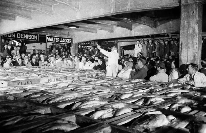 Framed Print : Fish Market Framed Print : Fish Market