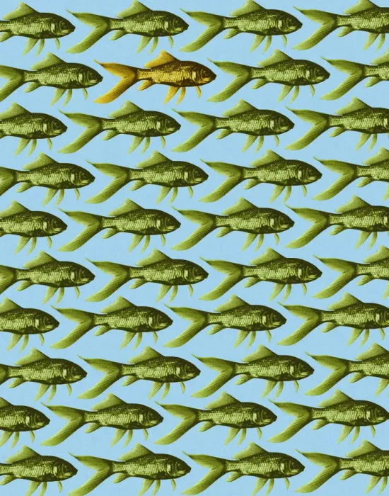 Framed Print : Fish Pattern Framed Print : Fish Pattern