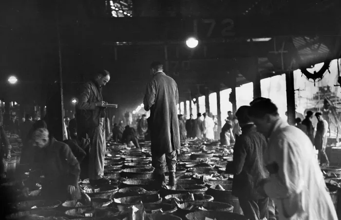 Framed Print : Fish Sales At Hull Framed Print : Fish Sales At Hull