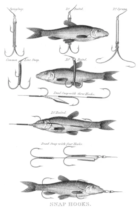 Framed Print : Fish snap hooks engraving 1812 Framed Print : Fish snap hooks engraving 1812