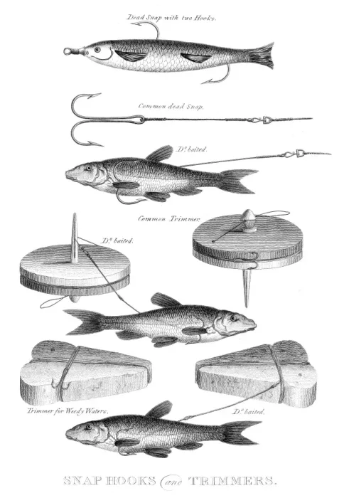 Framed Print : Fish snap hooks engraving 1812 Framed Print : Fish snap hooks engraving 1812