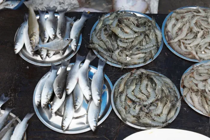 Framed Print : Fish and tiger prawns, king prawns, fish market, Kochi, Fort Cochin, Kerala, South India, South Asia Framed Print : Fish and tiger prawns, king prawns, fish market, Kochi, Fort Cochin, Kerala, South India, South Asia