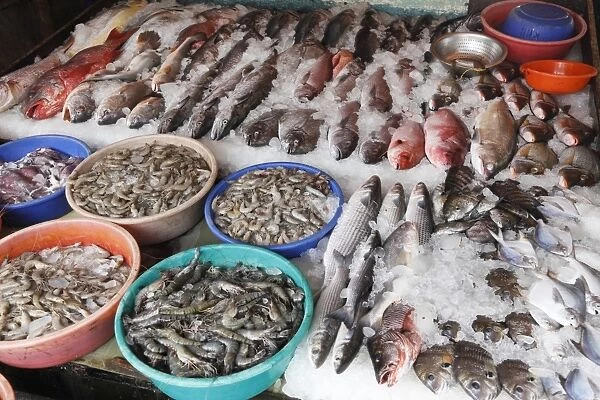 Fish and tiger prawns, king prawns, fish market, Kochi, Fort Cochin, Kerala, South India, South Asia
