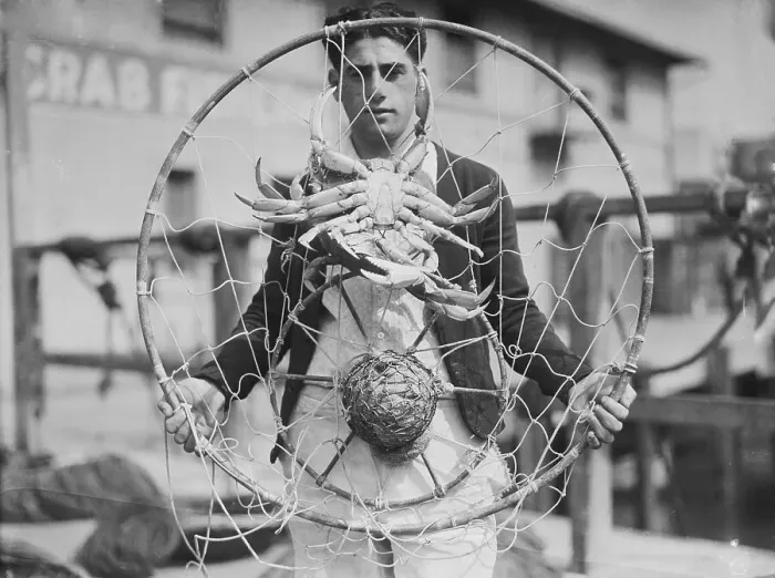 Framed Print : Fisherman Displaying Crabs in Net Framed Print : Fisherman Displaying Crabs in Net