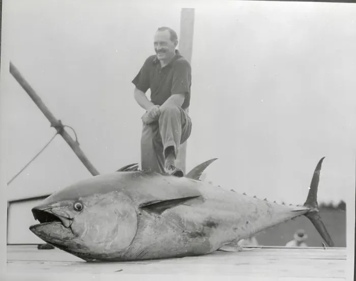 Framed Print : Fisherman with Large Tuna Framed Print : Fisherman with Large Tuna
