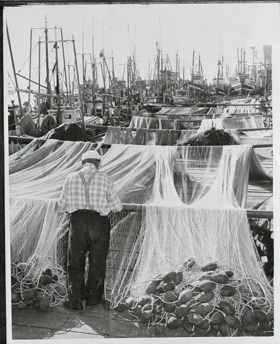 Framed Print : Fisherman Repairing a Net Framed Print : Fisherman Repairing a Net