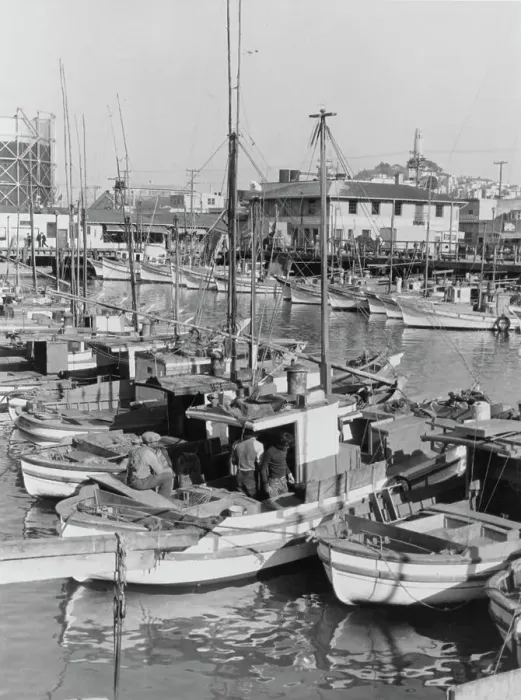 Framed Print : Fisherman's Wharf, San Francisco Framed Print : Fisherman's Wharf, San Francisco