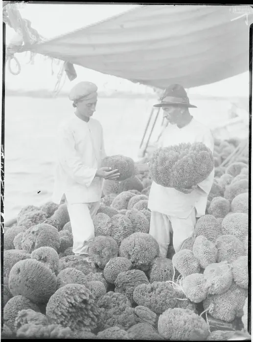 Framed Print : Fishermen Examining Sponges