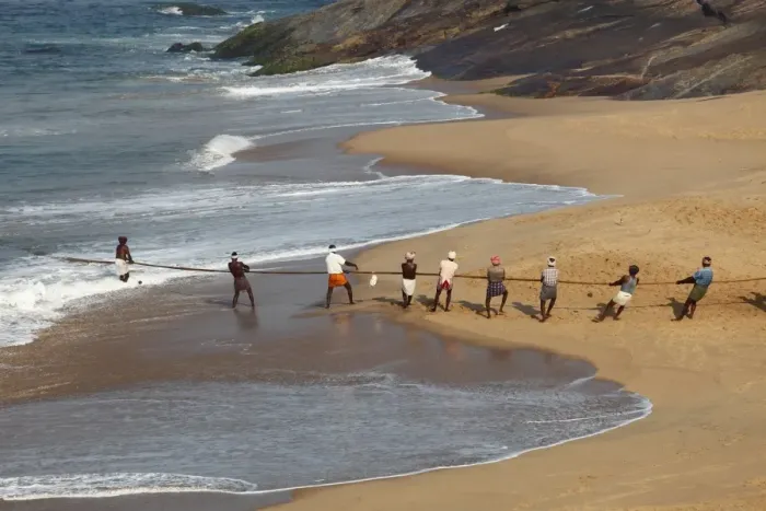 Framed Print : Fishermen pulling in a net, beach south of Kovalam, Malabar Coast, Malabar, Kerala, southern India, India, Asia Framed Print : Fishermen pulling in a net, beach south of Kovalam, Malabar Coast, Malabar, Kerala, southern India, India, Asia
