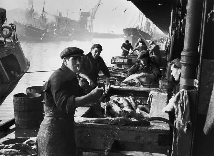 Framed Print : Fishing In Hull Framed Print : Fishing In Hull
