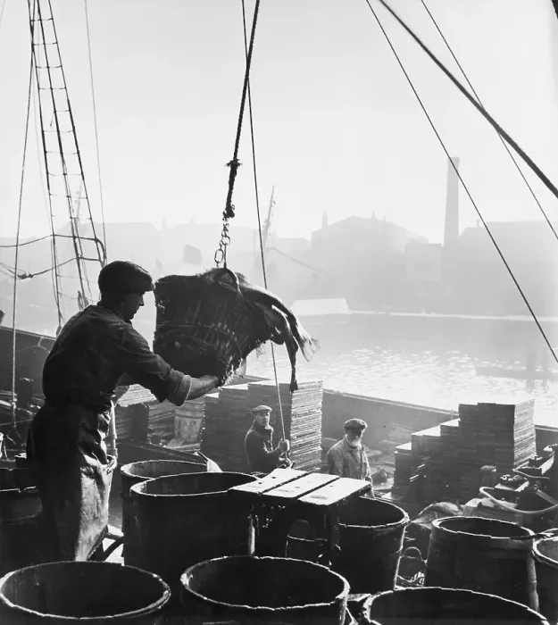 Framed Print : Fishing In Hull Framed Print : Fishing In Hull