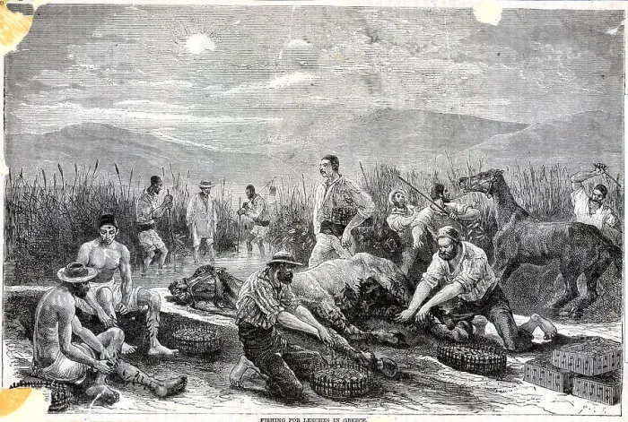 Framed Print : Fishing For Leeches Framed Print : Fishing For Leeches