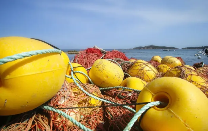 Framed Print : Fishing net, Corsica, France