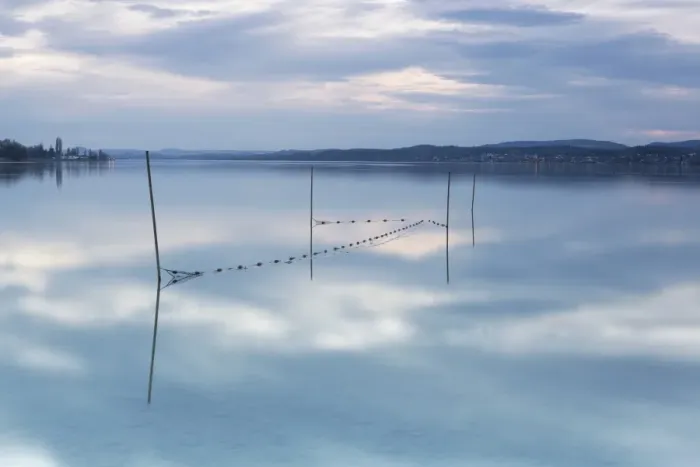 Framed Print : Fishing net in Lake Constance, evening mood, Reichenau Island, Lake Constance, Baden-Wurttemberg, Germany Framed Print : Fishing net in Lake Constance, evening mood, Reichenau Island, Lake Constance, Baden-Wurttemberg, Germany
