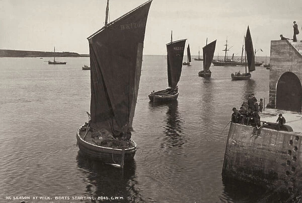 Fishing In Wick. Boats head out from Wick during fishing season, circa 1890