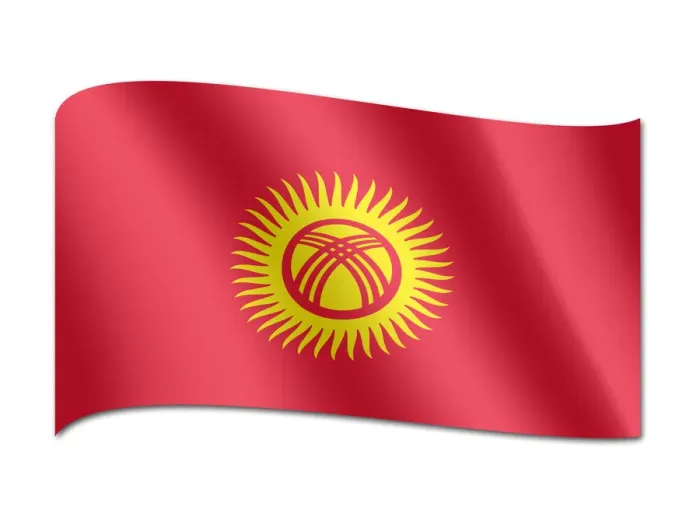Framed Print : Flag of Kyrgyzstan Framed Print : Flag of Kyrgyzstan