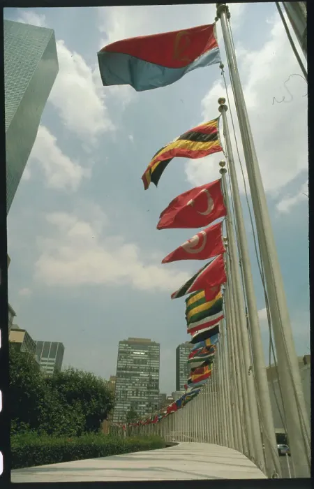 Framed Print : Flags of United Nations Framed Print : Flags of United Nations