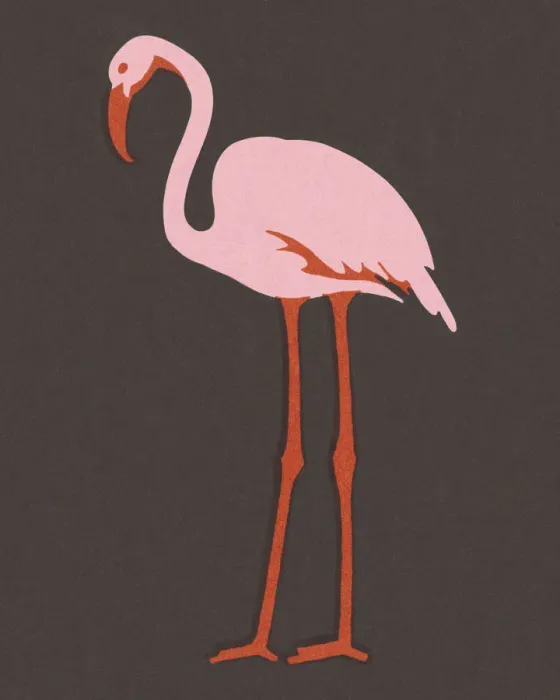 Framed Print : Flamingo. http: / / csaimages.com / images / istockprofile / csa_vector_dsp.jpg Framed Print : Flamingo. http: / / csaimages.com / images / istockprofile / csa_vector_dsp.jpg