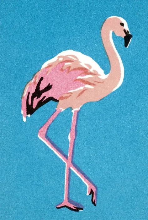 Framed Print : Flamingo. http: / / csaimages.com / images / istockprofile / csa_vector_dsp.jpg Framed Print : Flamingo. http: / / csaimages.com / images / istockprofile / csa_vector_dsp.jpg