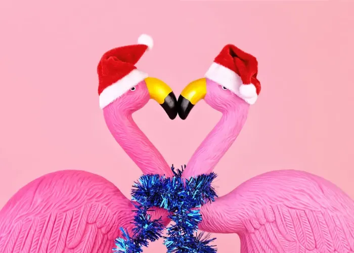 Framed Print : Flamingos in Santa hats Framed Print : Flamingos in Santa hats