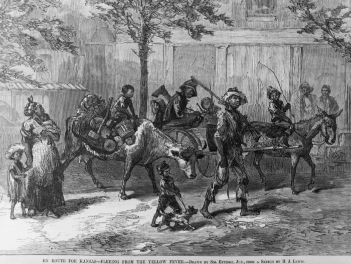 Framed Print : Fleeing Yellow Fever Framed Print : Fleeing Yellow Fever