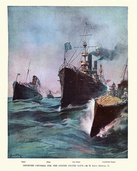 Fleet of United States Navy warships, Cruisers and torpedo boat, 19th Century