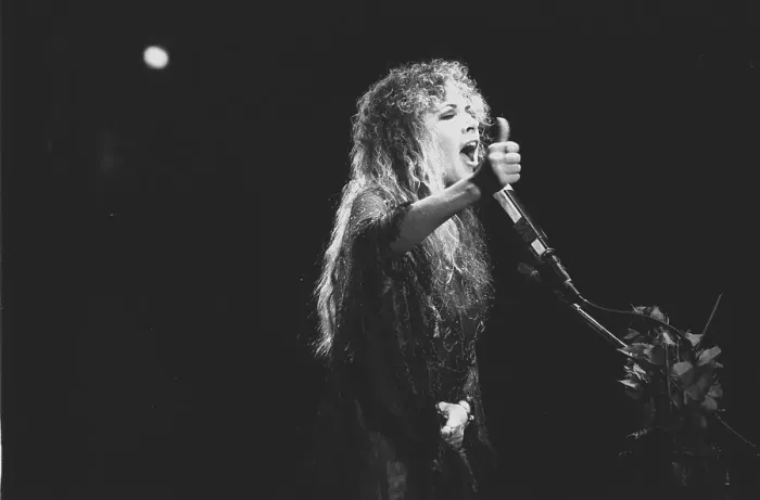 Framed Print : Fleetwood Mac Live In Atlanta Framed Print : Fleetwood Mac Live In Atlanta
