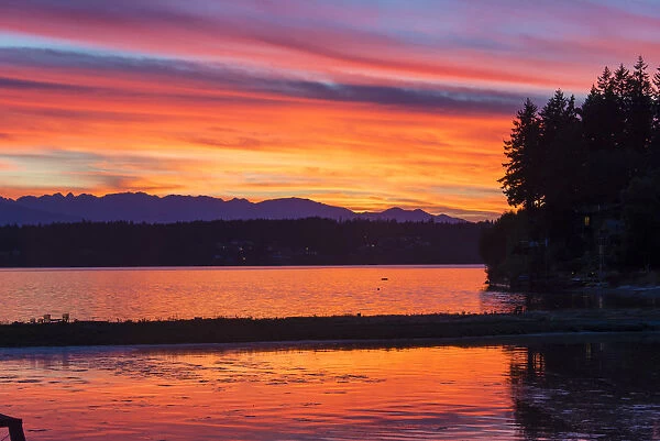 Fletcher Bay at sunset, Olympics and Kitsap Peninsula, Bainbridge Island, Washington State, USA