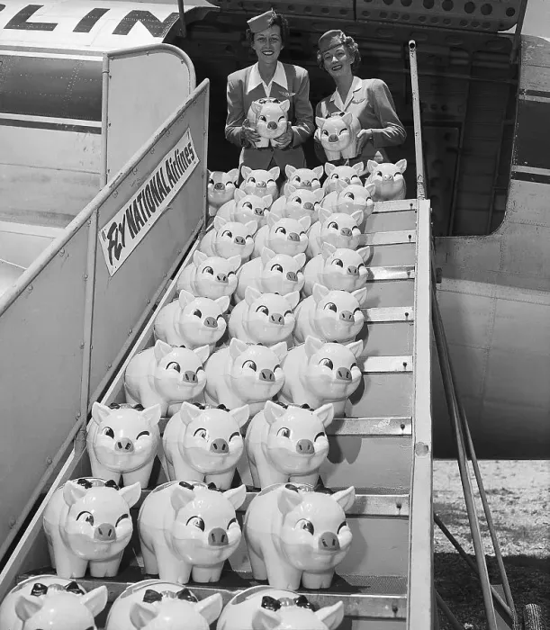 Framed Print : Flight Attendants Herd Piggy Banks Framed Print : Flight Attendants Herd Piggy Banks