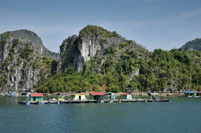 Framed Print : Floating village, Halong Bay, Vietnam, Southeast Asia Framed Print : Floating village, Halong Bay, Vietnam, Southeast Asia