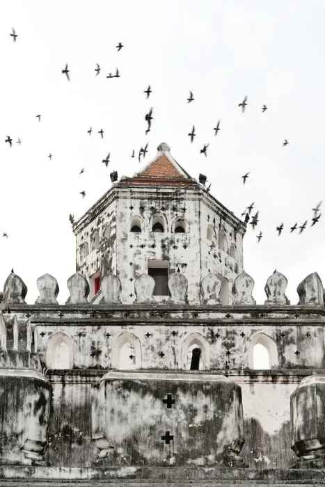 Framed Print : Flock of pigeons fly past a fort Framed Print : Flock of pigeons fly past a fort