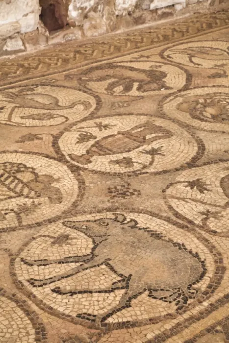 Framed Print : Floor mosaics, Petra Church (also known as the Byzantine Church), built between the fifth and seventh century AD