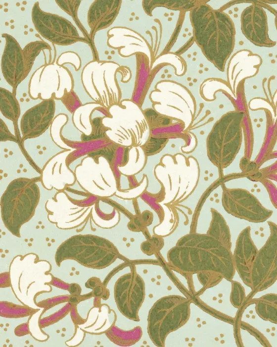 Framed Print : Floral Pattern Framed Print : Floral Pattern