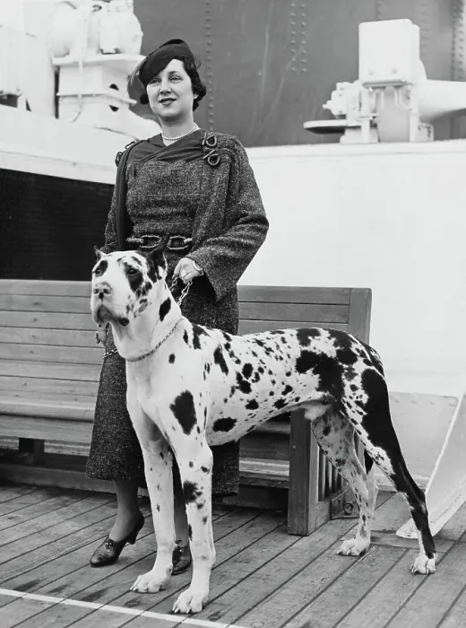 Framed Print : Florence Walton with Her Great Dane