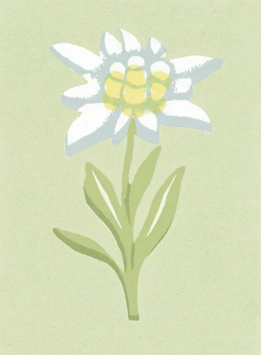Framed Print : One Flower Framed Print : One Flower