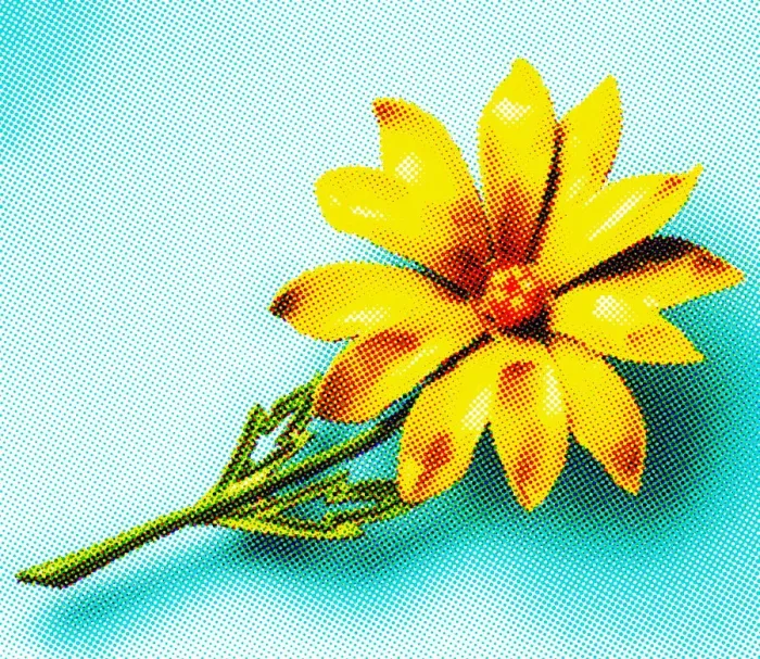 Framed Print : Flower Framed Print : Flower