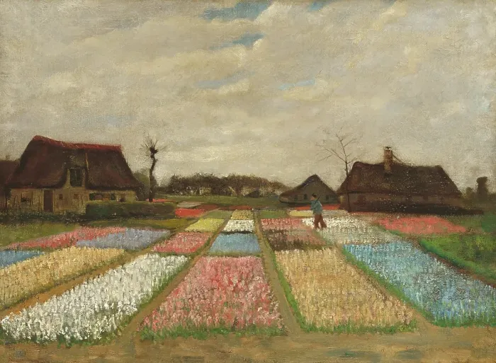 Framed Print : Flower Beds In Holland Framed Print : Flower Beds In Holland