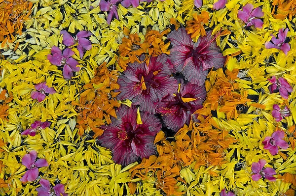 Flower Decoration For Wedding Events - Kerala Wedding Planners Kochi (Ph:  +91 8943 906 399)
