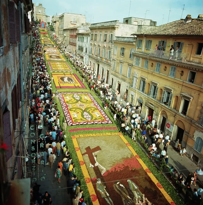 Framed Print : Flower Mosaic in the Infiorata Festival Framed Print : Flower Mosaic in the Infiorata Festival