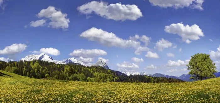 Framed Print : Flowering mountain pasture underneath blue sky with white clouds, Zugspitze massif near Partenkirchen, Partenkirchen-Eckbauer, Bavaria, Germany, Europe Framed Print : Flowering mountain pasture underneath blue sky with white clouds, Zugspitze massif near Partenkirchen, Partenkirchen-Eckbauer, Bavaria, Germany, Europe