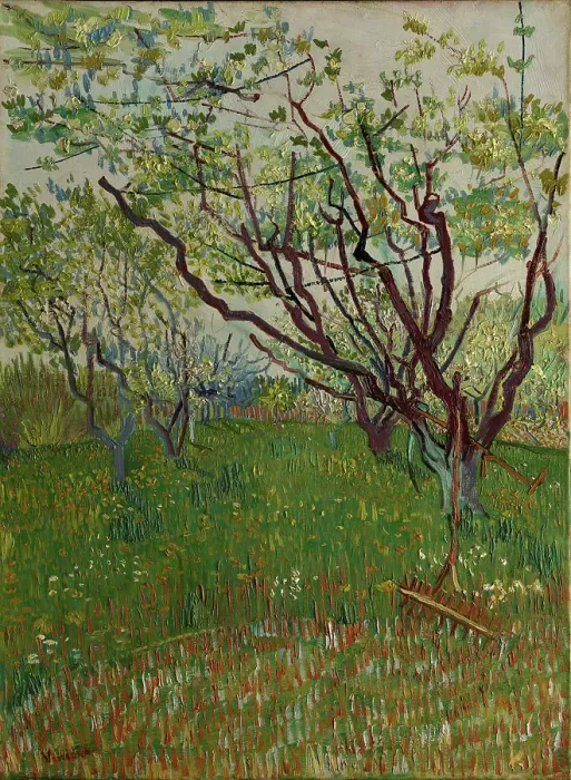 Framed Print : The Flowering Orchard Framed Print : The Flowering Orchard
