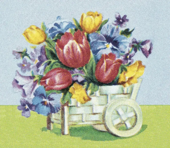 Framed Print : Flowers. http: /  / csaimages.com / images / istockprofile / csa_vector_dsp.jpg