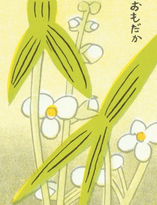Framed Print : Flowers. http: / / csaimages.com / images / istockprofile / csa_vector_dsp.jpg Framed Print : Flowers. http: / / csaimages.com / images / istockprofile / csa_vector_dsp.jpg