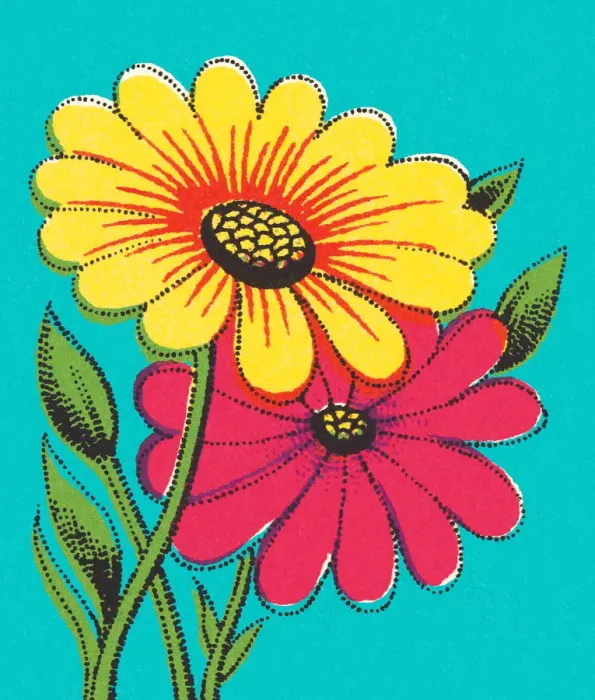 Framed Print : Two Flowers Framed Print : Two Flowers