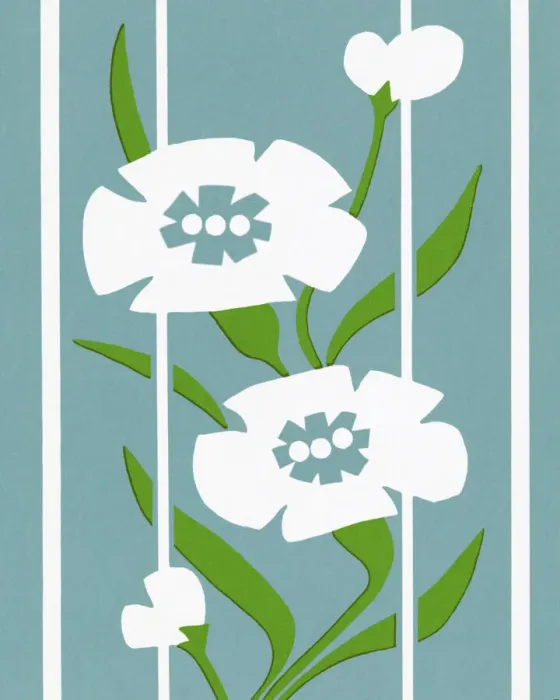 Framed Print : Flowers Framed Print : Flowers