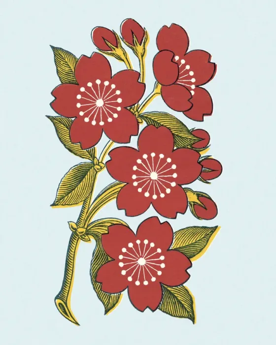 Framed Print : Flowers Framed Print : Flowers
