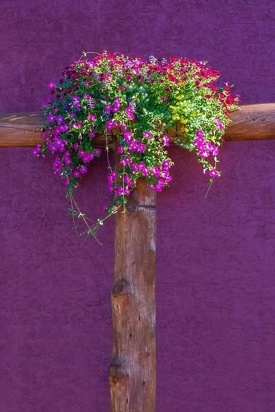 Flowers on side of building at Waterton Lakes Canada